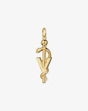 Modern Veterinary Medicine Rod of Asclepius Pendant Charm