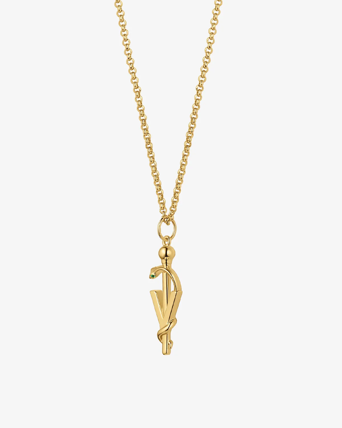 Modern Veterinary Medicine Rod of Asclepius Pendant Charm