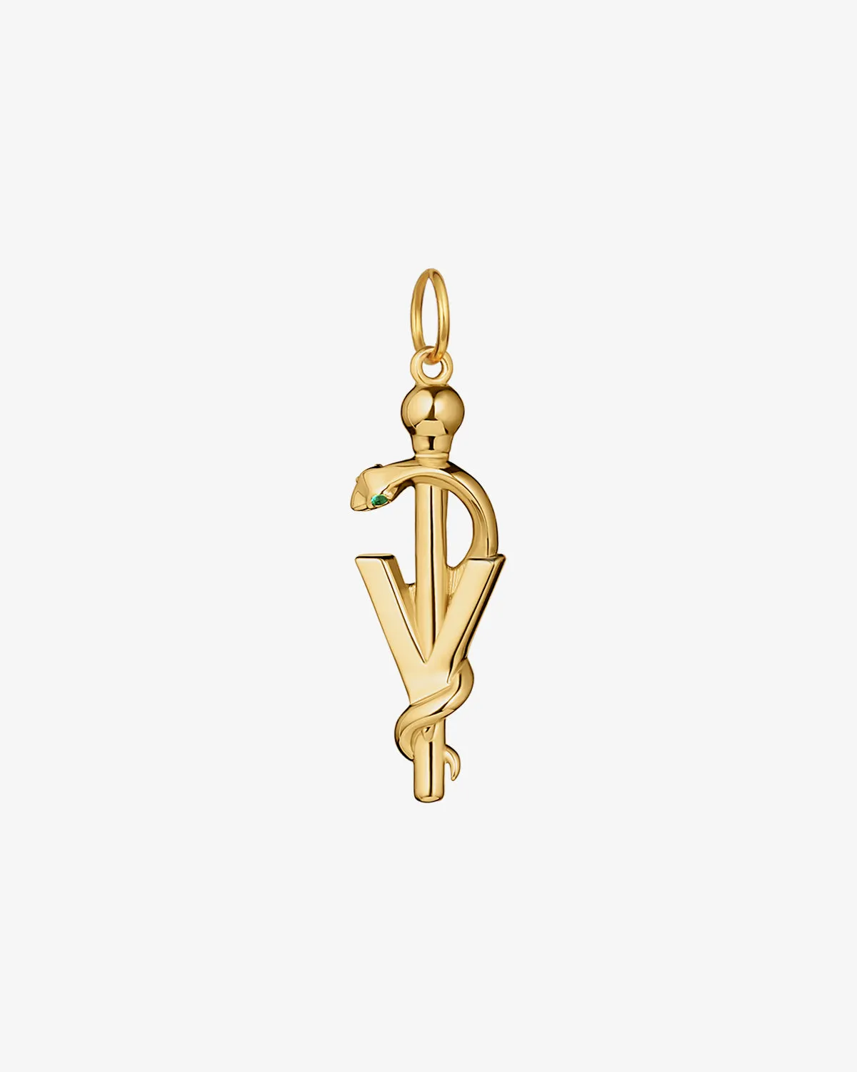 Modern Veterinary Medicine Rod of Asclepius Pendant Charm