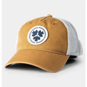 TRUCKER - HATS
